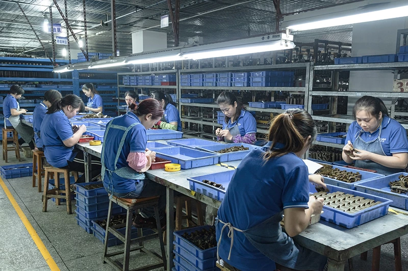 Production and Quality